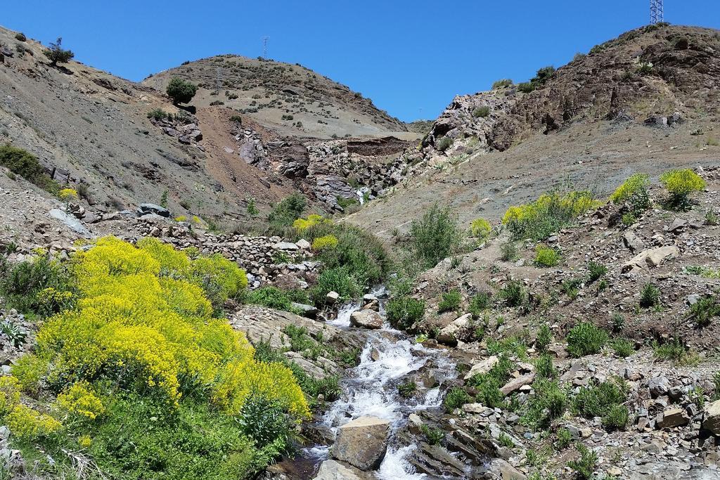 فندق Dar Tassa Tassa Ouirgane المظهر الخارجي الصورة